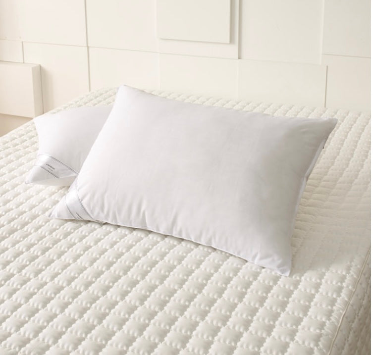 Allergy Care Microfiber Pillow
