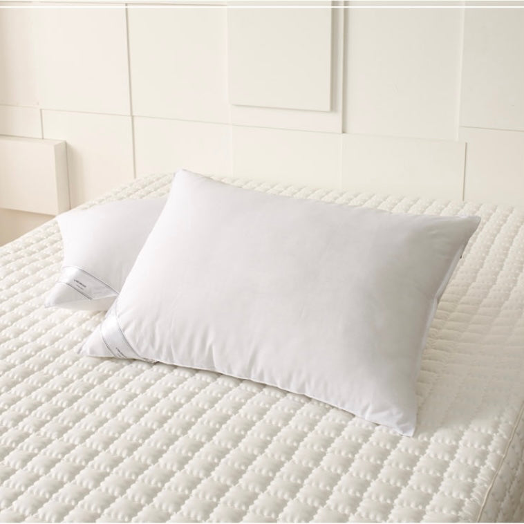 Allergy Care Microfiber Pillow