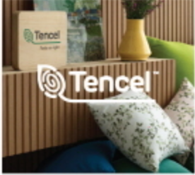 100% Tencel Modal Super Soft Summer bedding Set_Green
