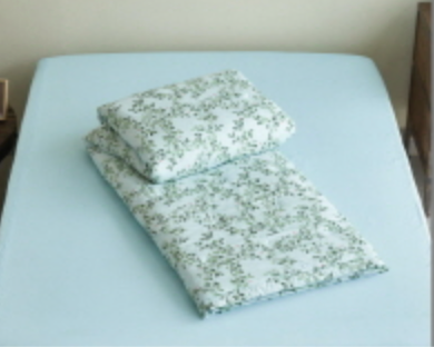 100% Tencel Modal Super Soft Summer bedding Set_Green
