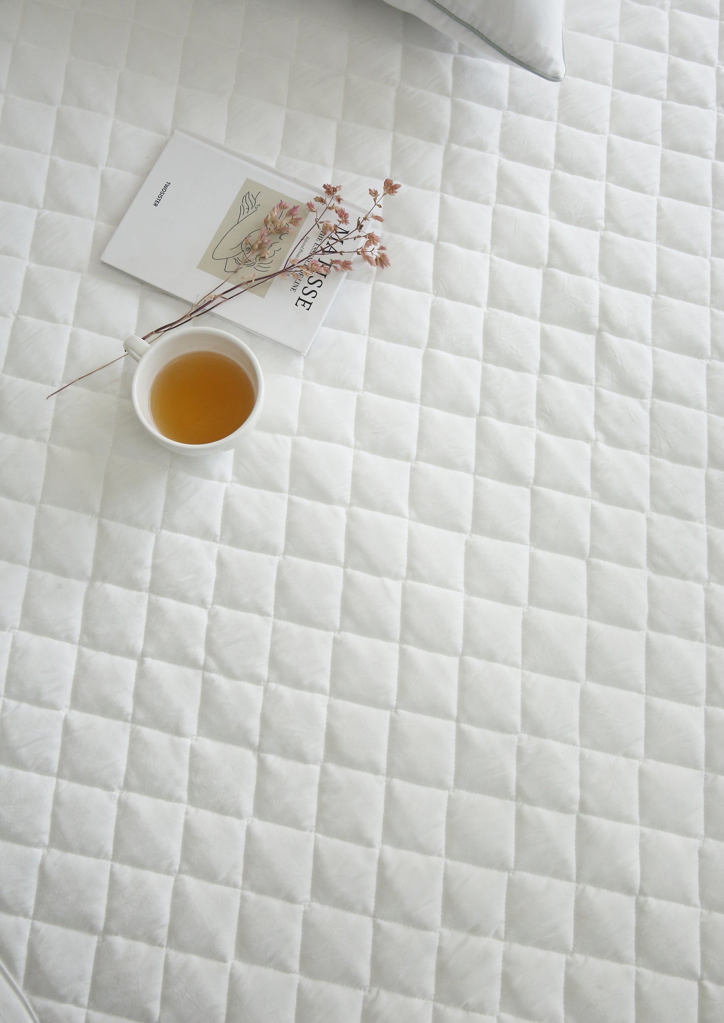 [NEW] Ultra Soft Anti-Dust Semi-Micro Air Washing Mattress Pad